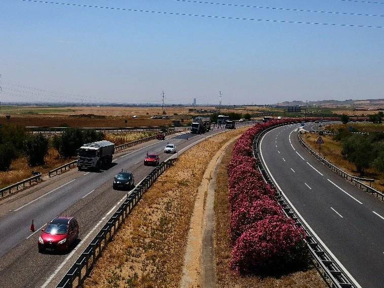 Conservation and Operation Service on the roads of sector 01 in the province of Seville